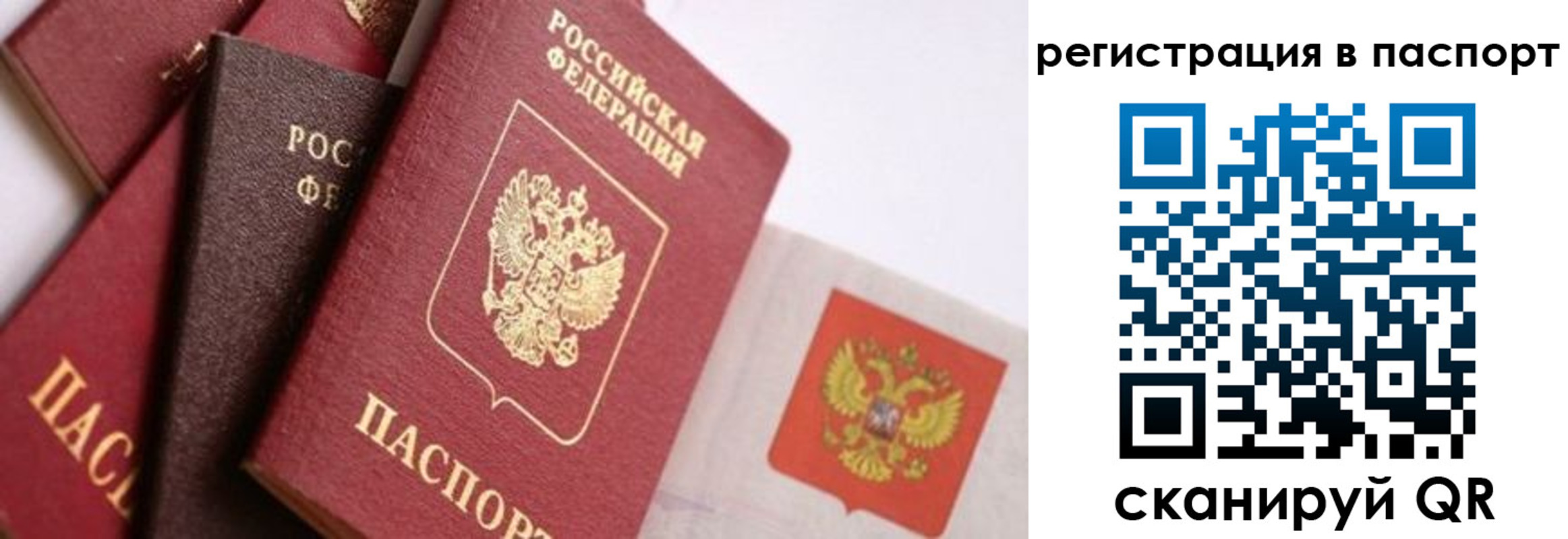 прописка в квартире в Жирновске